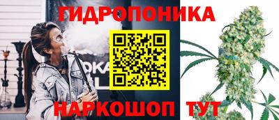 PSILOCYBIN Малоярославец