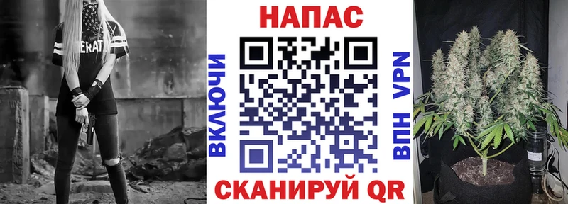 Шишки марихуана SATIVA & INDICA  купить закладку  МЕГА зеркало  Качканар 